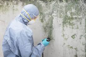 Best Mold Prevention Services  in Countryside, IL